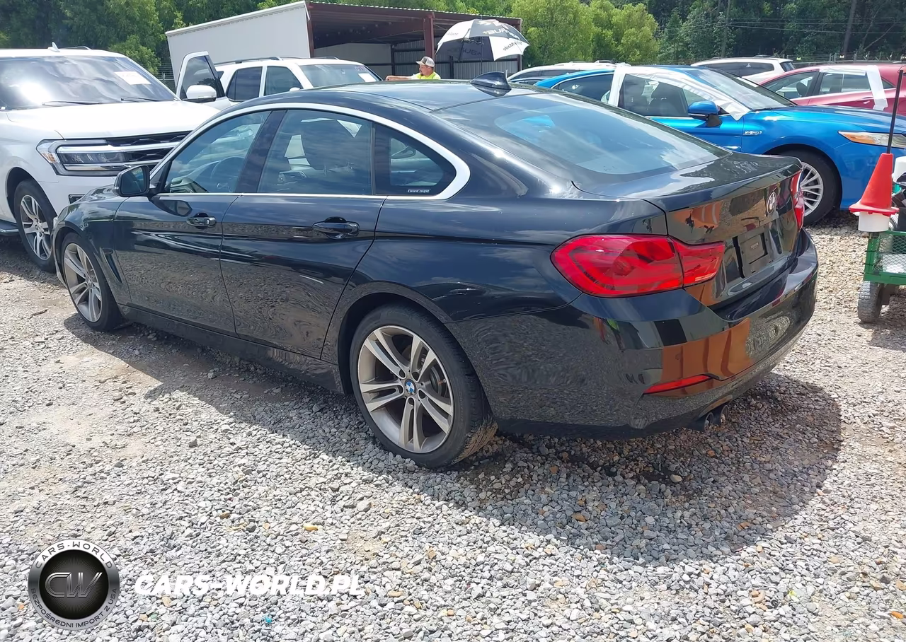 2019 BMW 430I Gran Coupe VIN:WBA4J1C51KBM17045 - 3