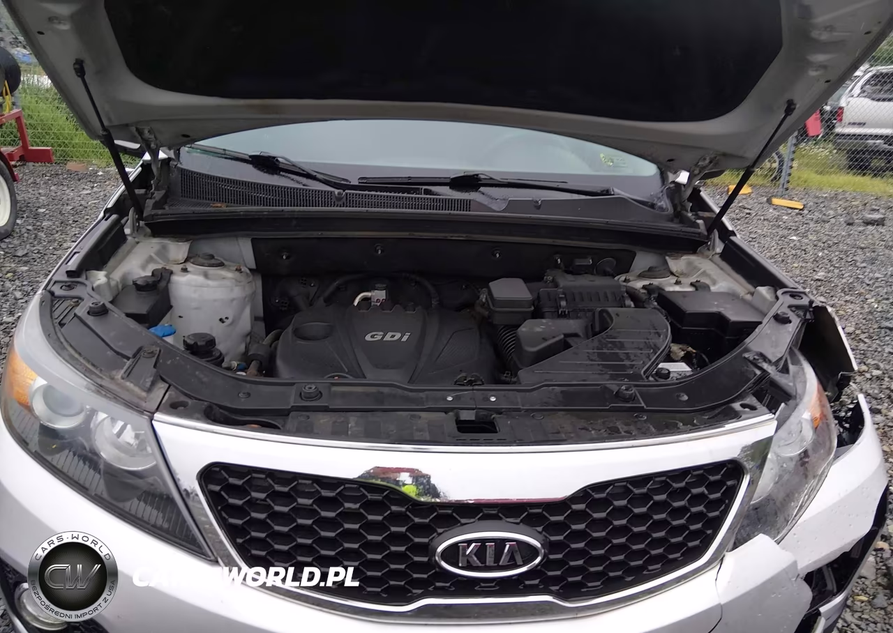 2013 Kia Sorento Lx VIN:5XYKT3A62DG394458 - 10