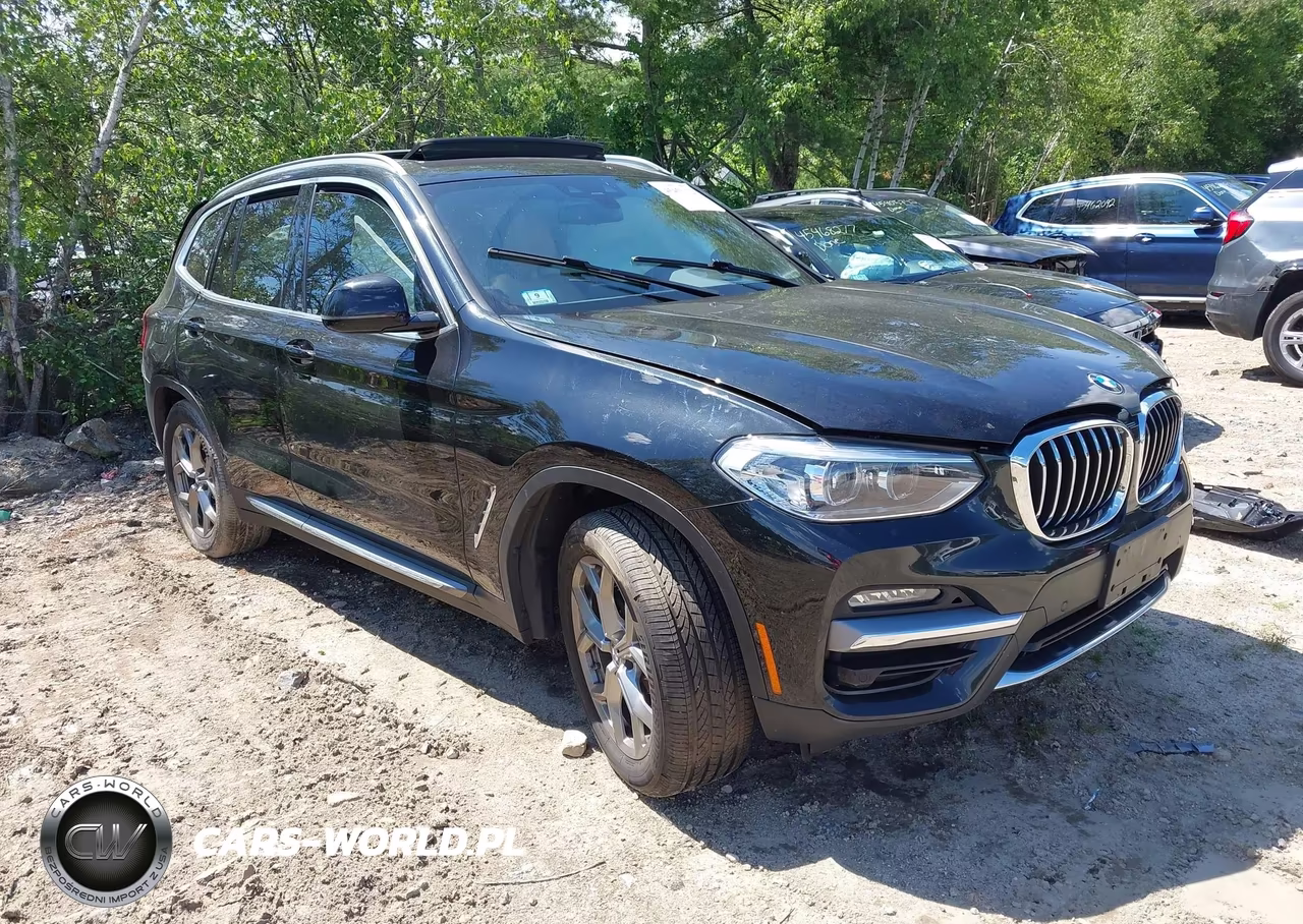 2020 BMW X3 xDrive30I – zdjęcie 1 z 17