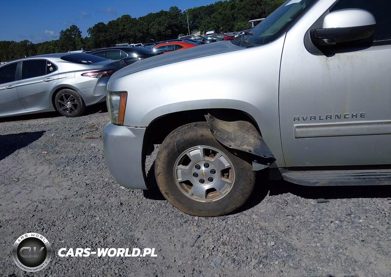 2012 Chevrolet Avalanche Ls VIN:3GNMCEE02CG163951 - 18