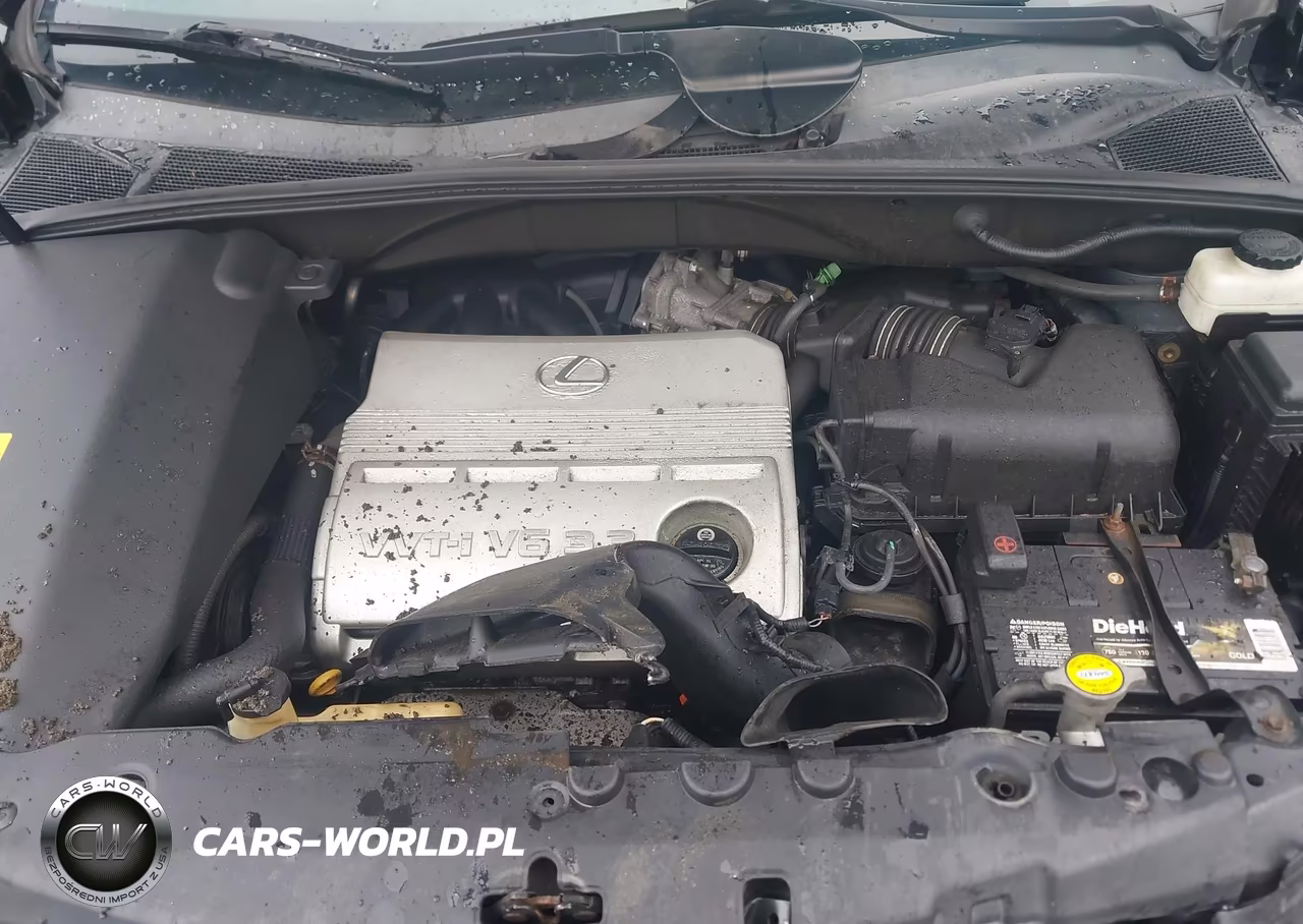 2005 Lexus Rx 330 VIN:2T2HA31U45C047480 - 10