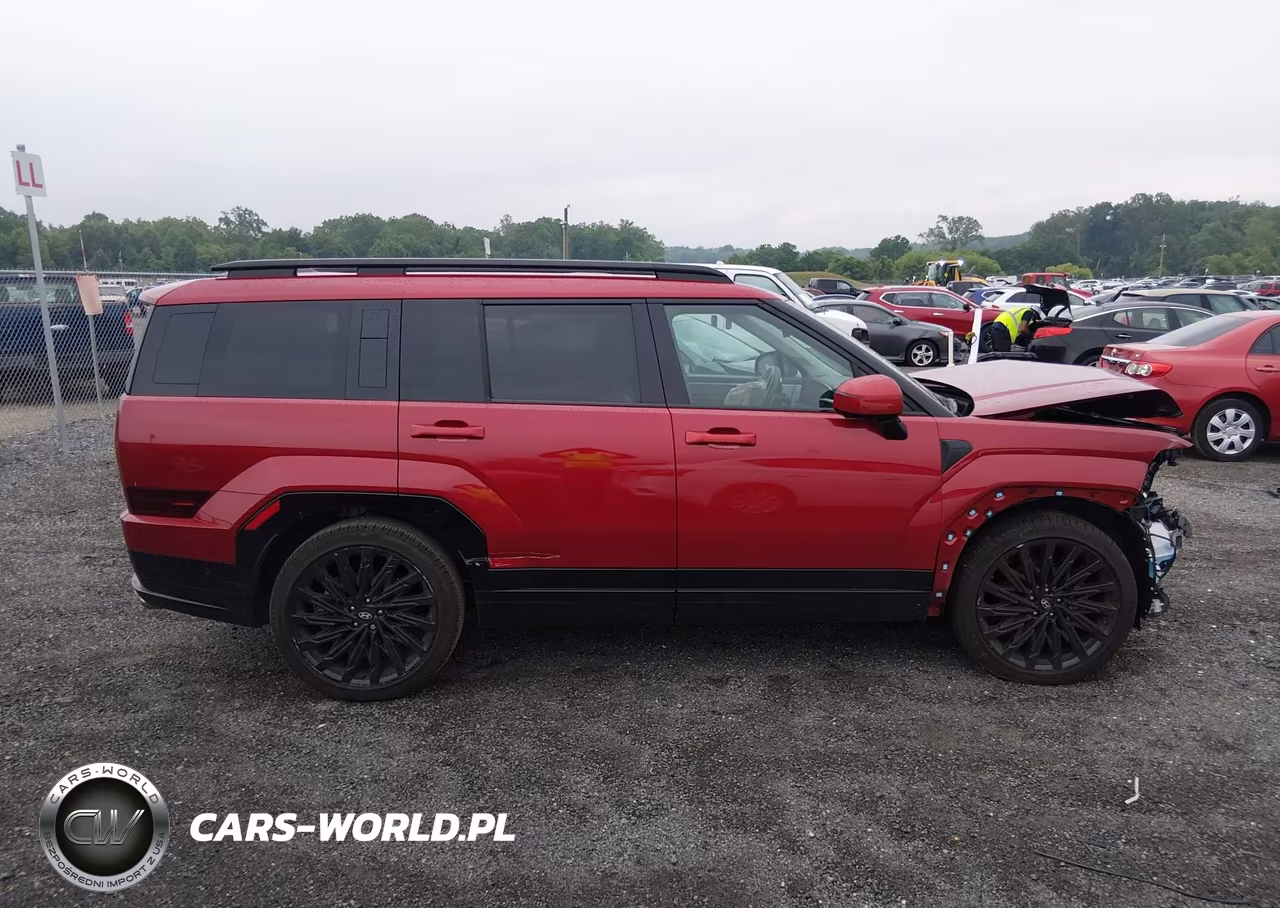2024 Hyundai Santa Fe Calligraphy VIN:5NMP5DGL8RH050410 - 14