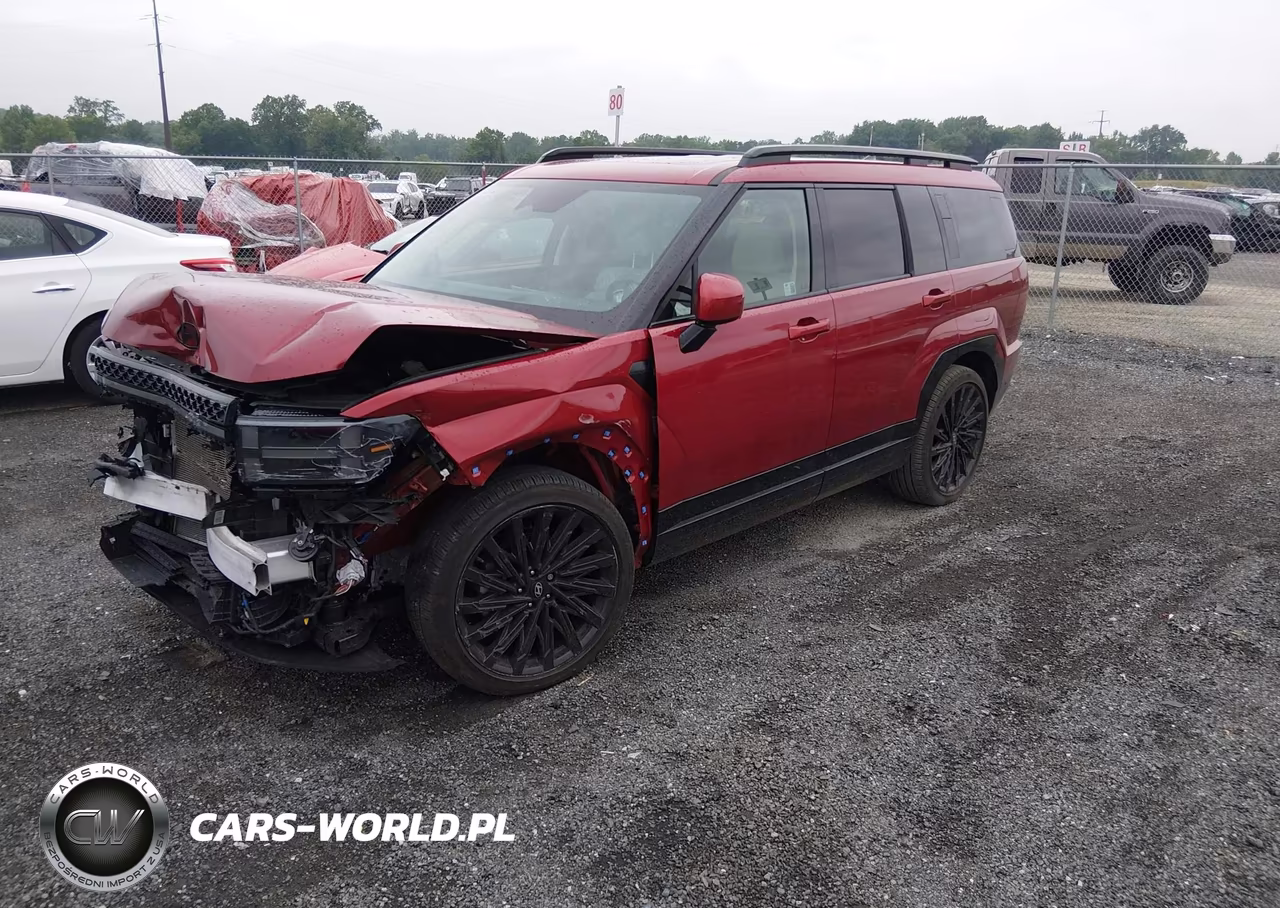 2024 Hyundai Santa Fe Calligraphy VIN:5NMP5DGL8RH050410 - 2