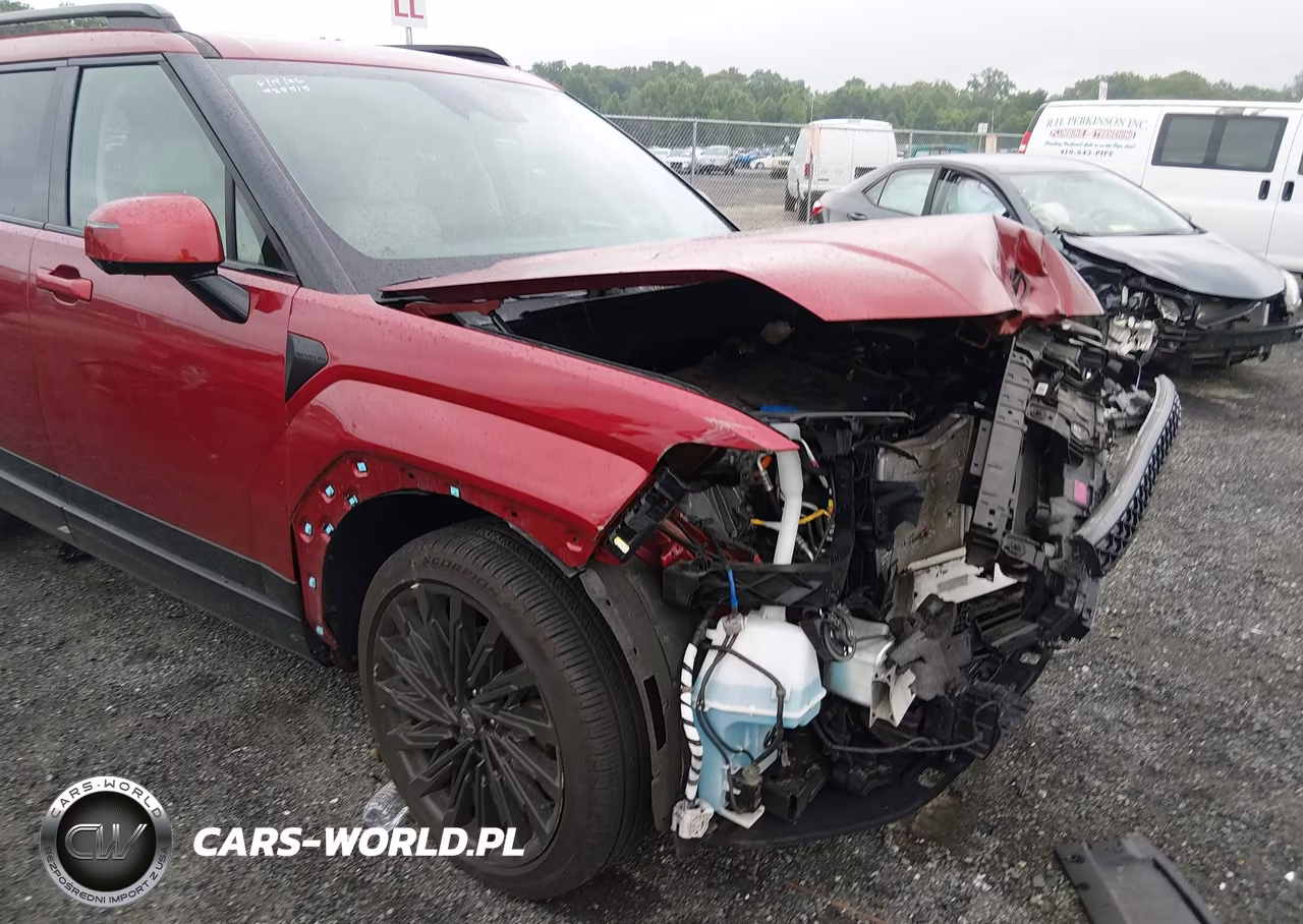 2024 Hyundai Santa Fe Calligraphy VIN:5NMP5DGL8RH050410 - 6