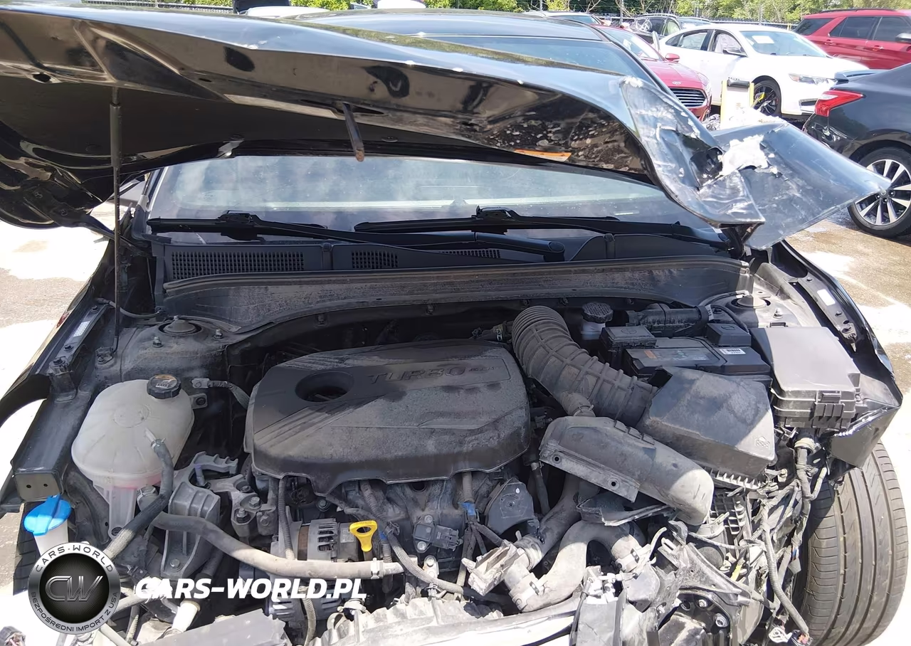 2021 Kia Forte Gt VIN:3KPF44AC0ME395194 - 10