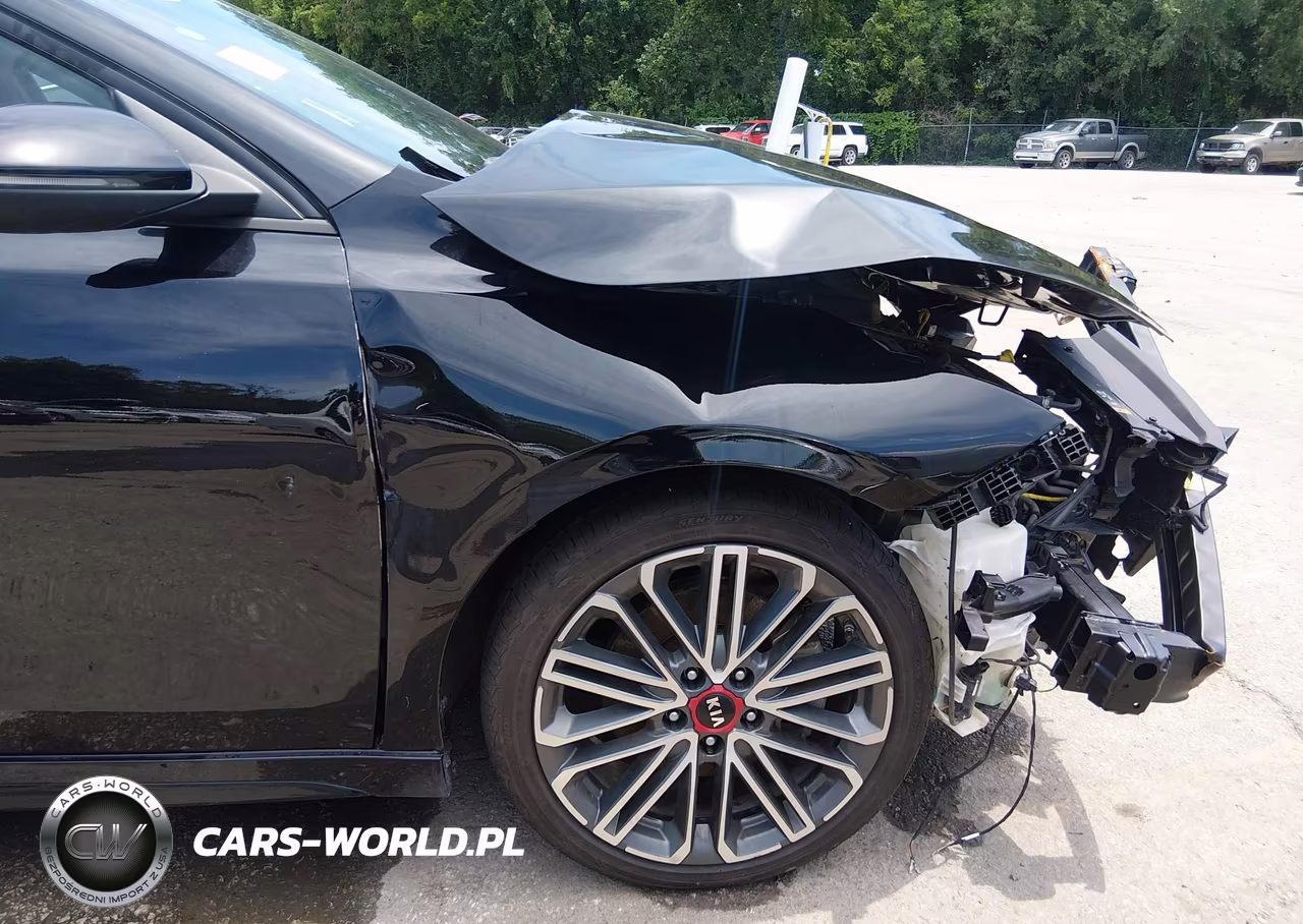 2021 Kia Forte Gt VIN:3KPF44AC0ME395194 - 18