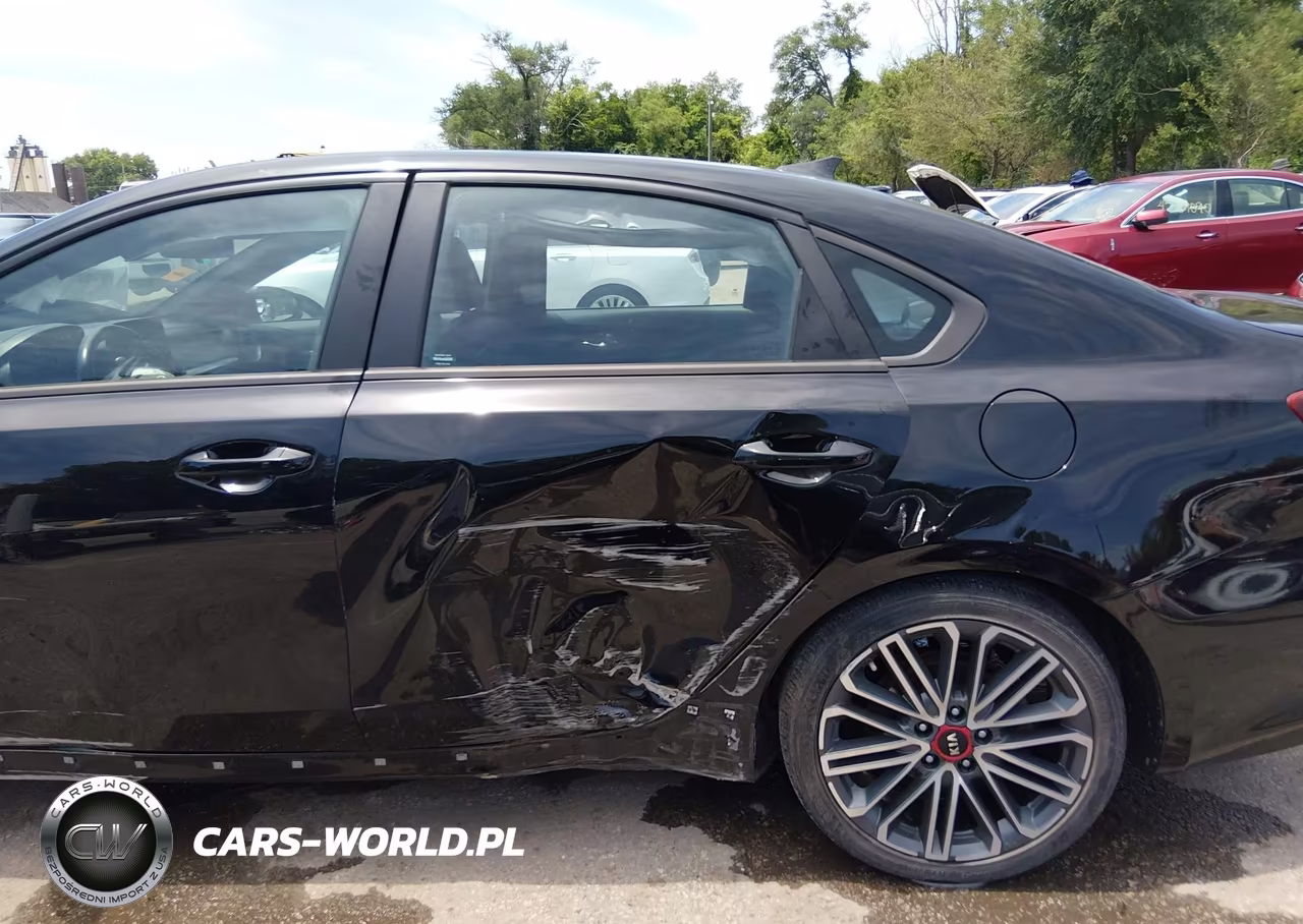 2021 Kia Forte Gt VIN:3KPF44AC0ME395194 - 19