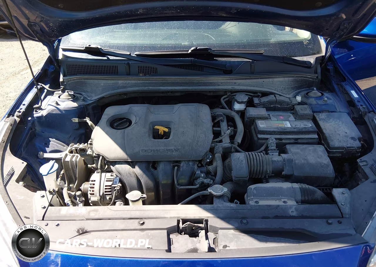 2019 Kia Forte Lxs VIN:3KPF24AD7KE074569 - 10
