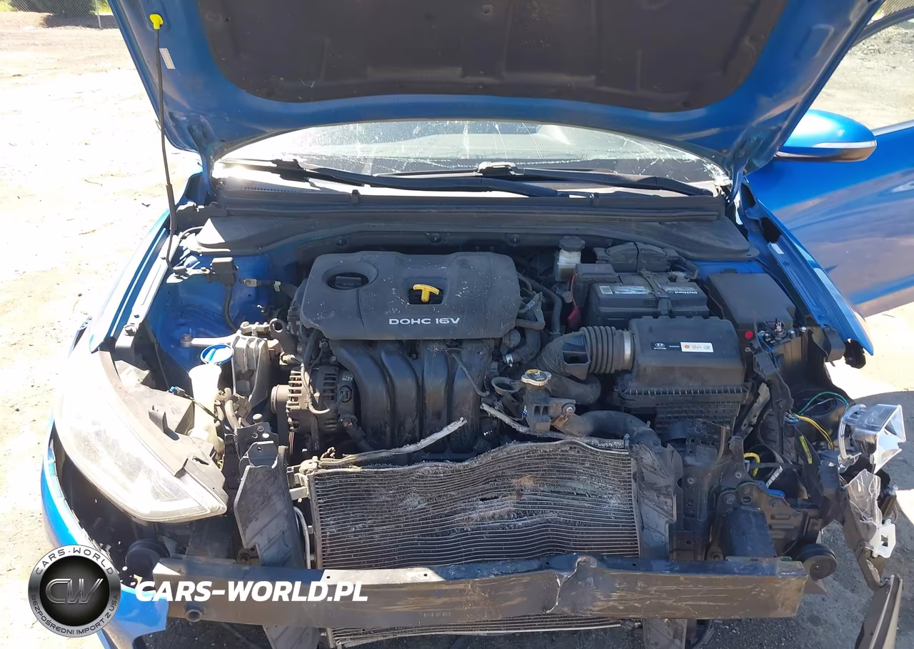2017 Hyundai Elantra Limited VIN:KMHD84LF8HU226630 - 10