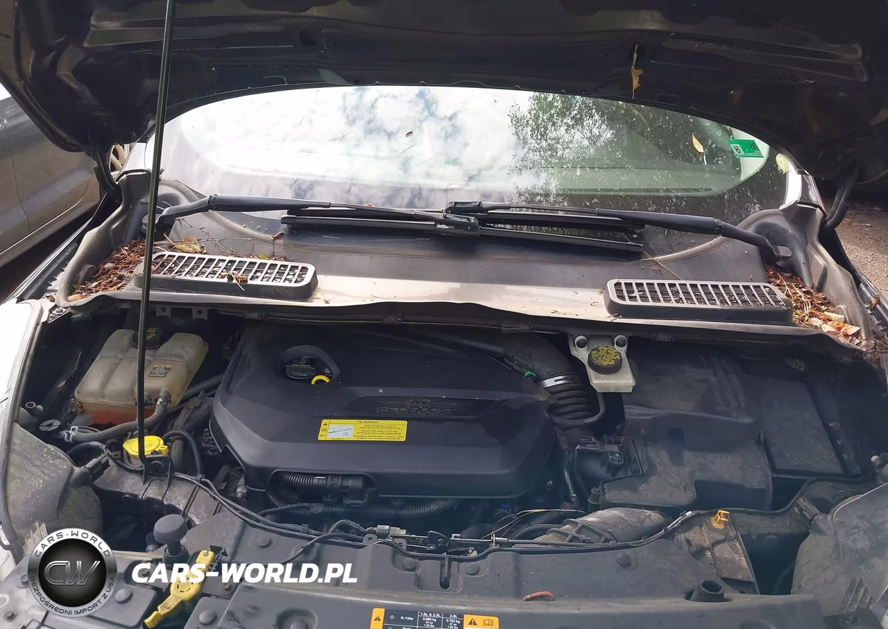 2013 Ford Escape Sel VIN:1FMCU0HX1DUD63078 - 10