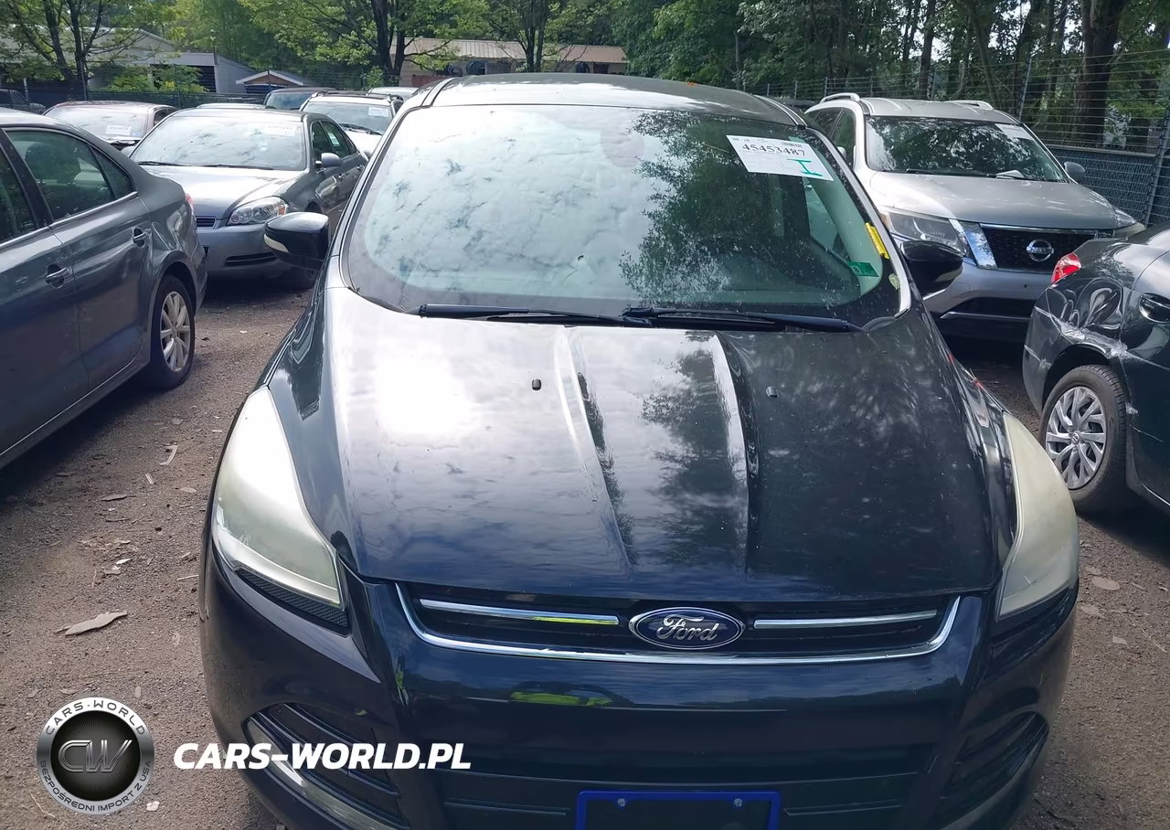 2013 Ford Escape Sel VIN:1FMCU0HX1DUD63078 - 6