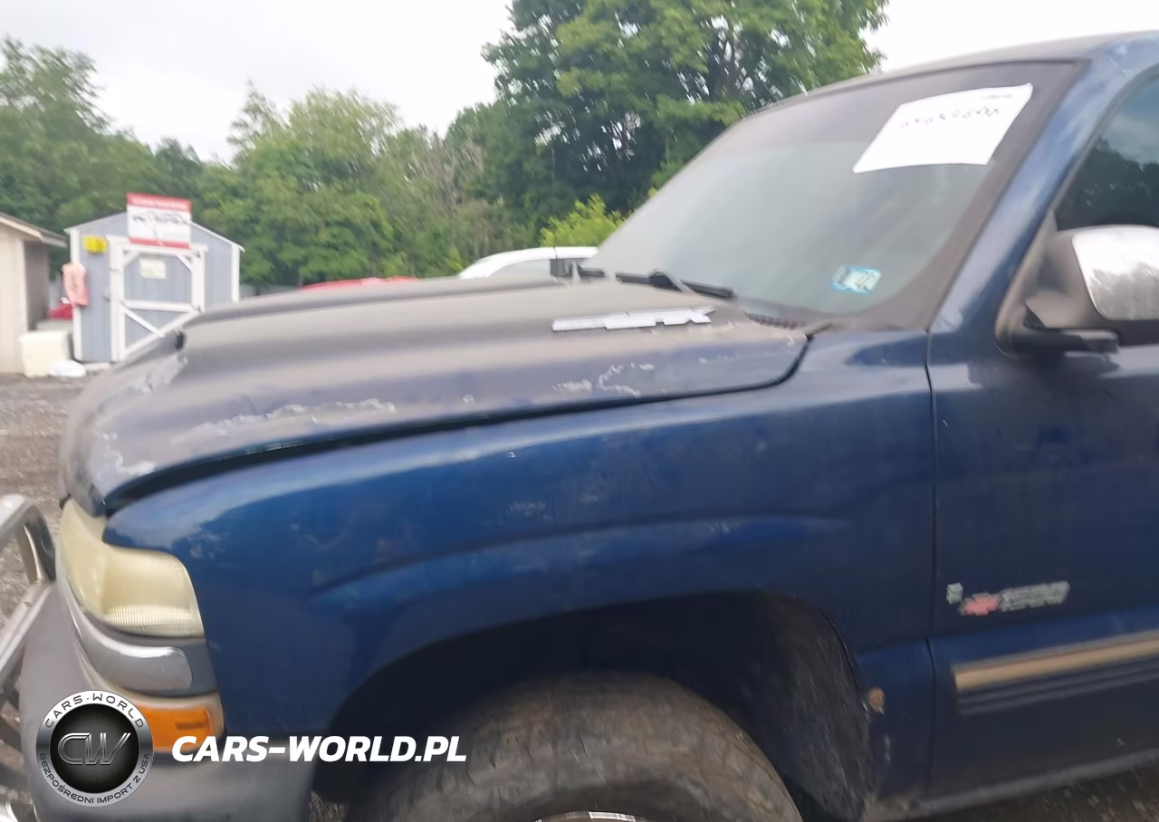 2002 Chevrolet Silverado 1500 Ls VIN:1GCEK19T52Z109457 - 12