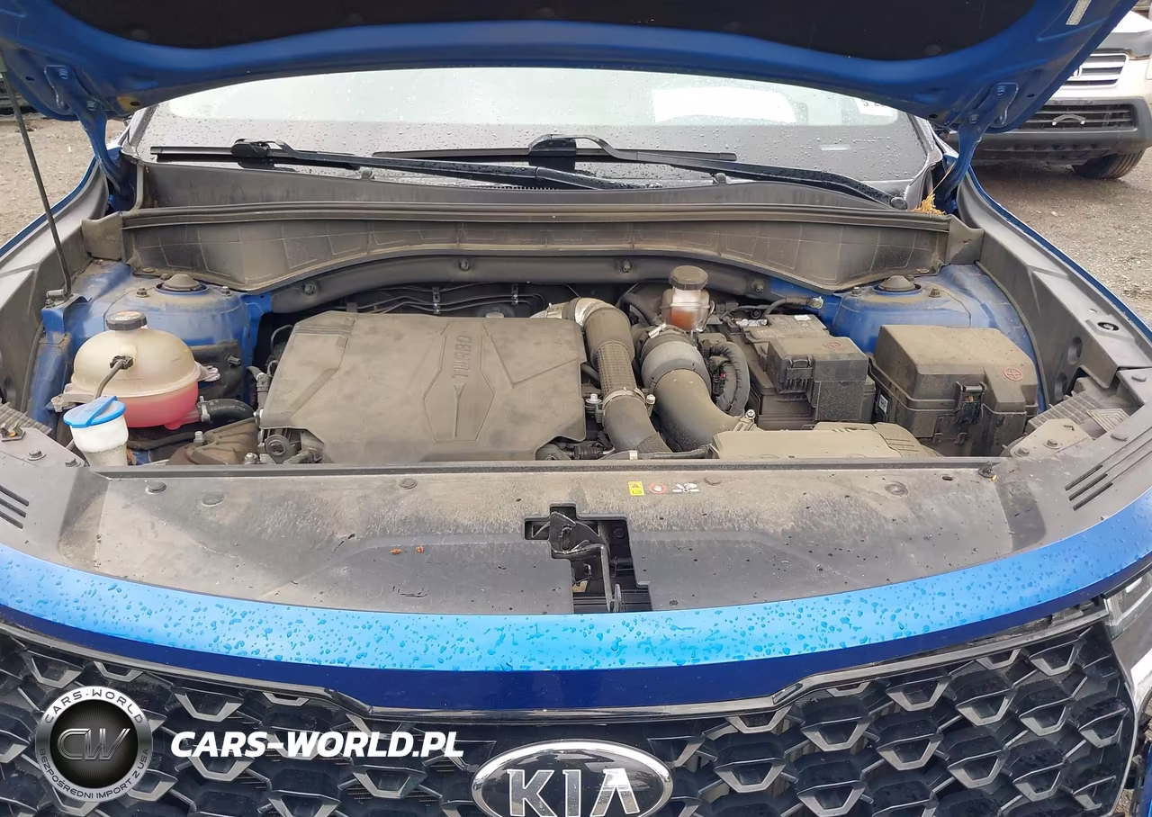 2021 Kia Sorento Ex VIN:5XYRHDLFXMG013426 - 10
