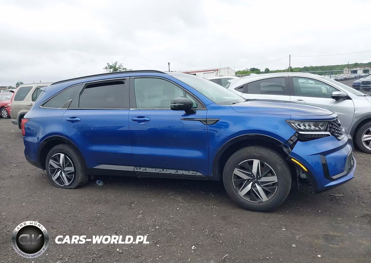 2021 Kia Sorento Ex VIN:5XYRHDLFXMG013426 - 13