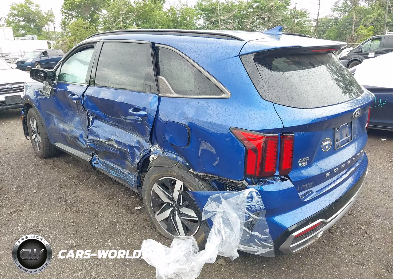 2021 Kia Sorento Ex VIN:5XYRHDLFXMG013426 - 3