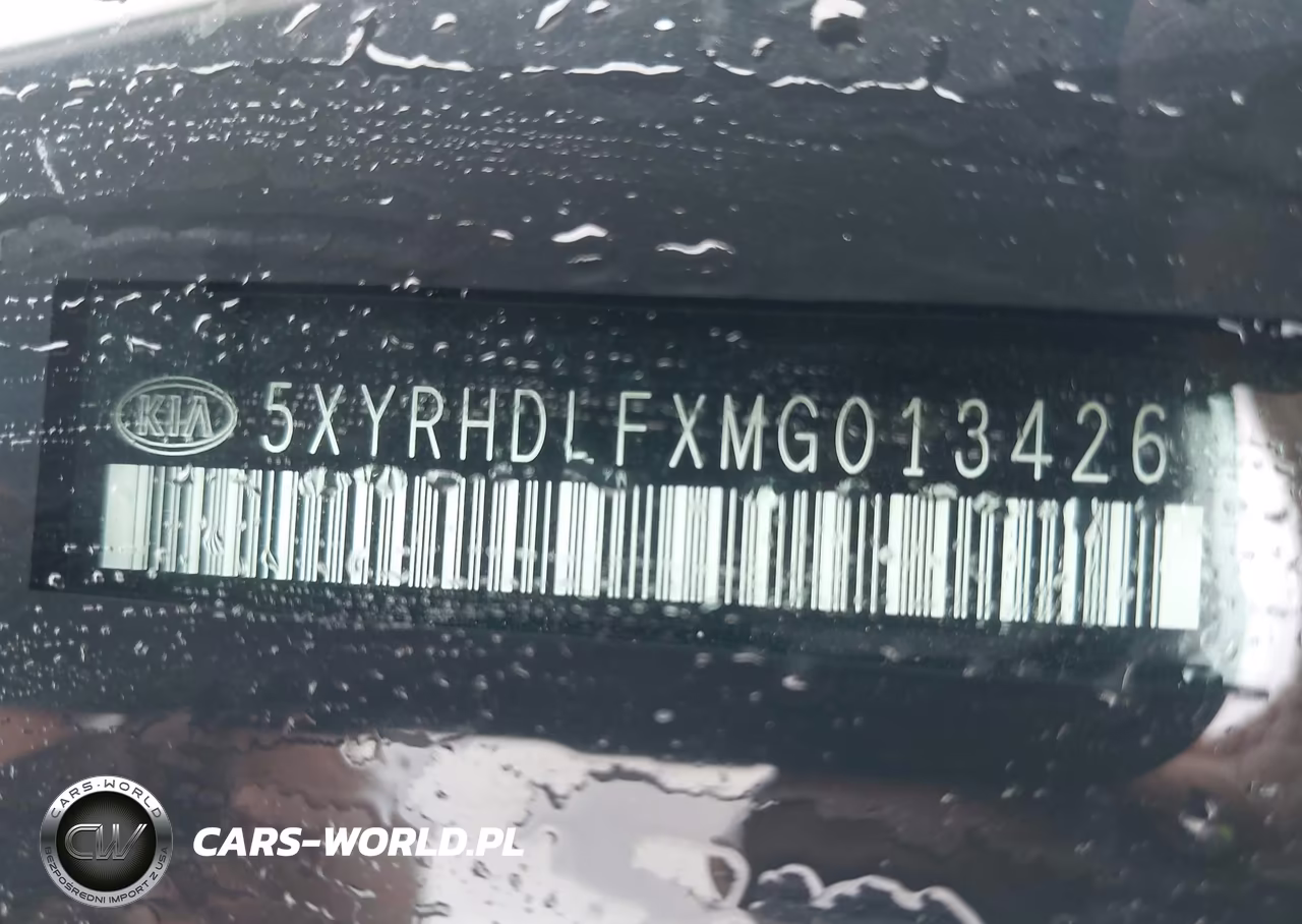 2021 Kia Sorento Ex VIN:5XYRHDLFXMG013426 - 9