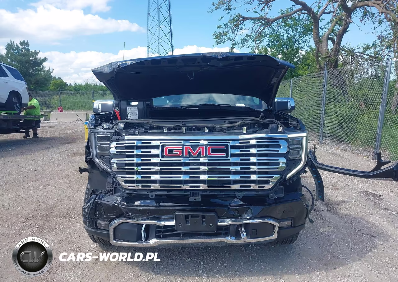 2024 GMC Sierra 1500 Denali VIN:1GTUUGE82RZ316411 - 12