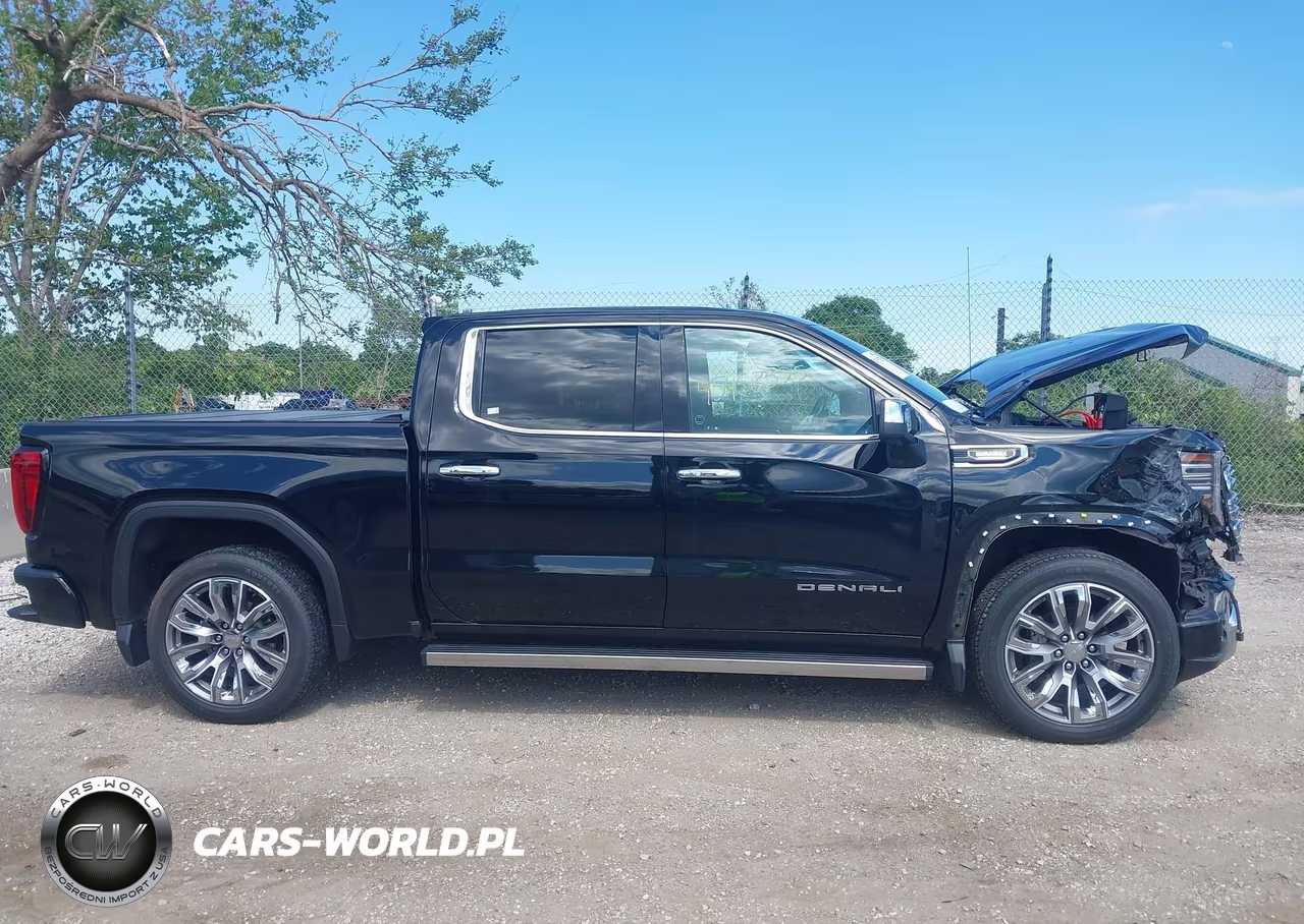 2024 GMC Sierra 1500 Denali VIN:1GTUUGE82RZ316411 - 13