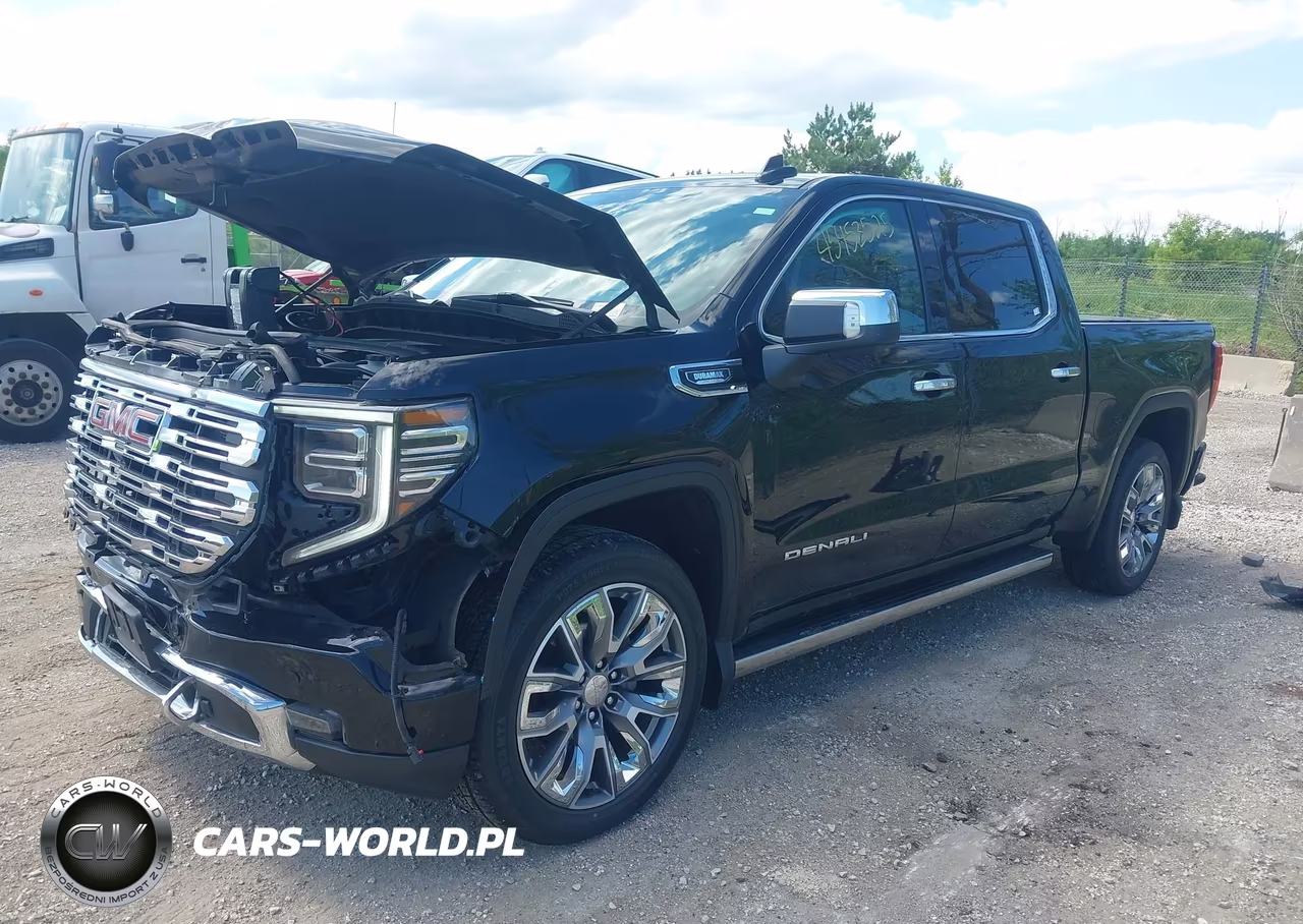 2024 GMC Sierra 1500 Denali VIN:1GTUUGE82RZ316411 - 2