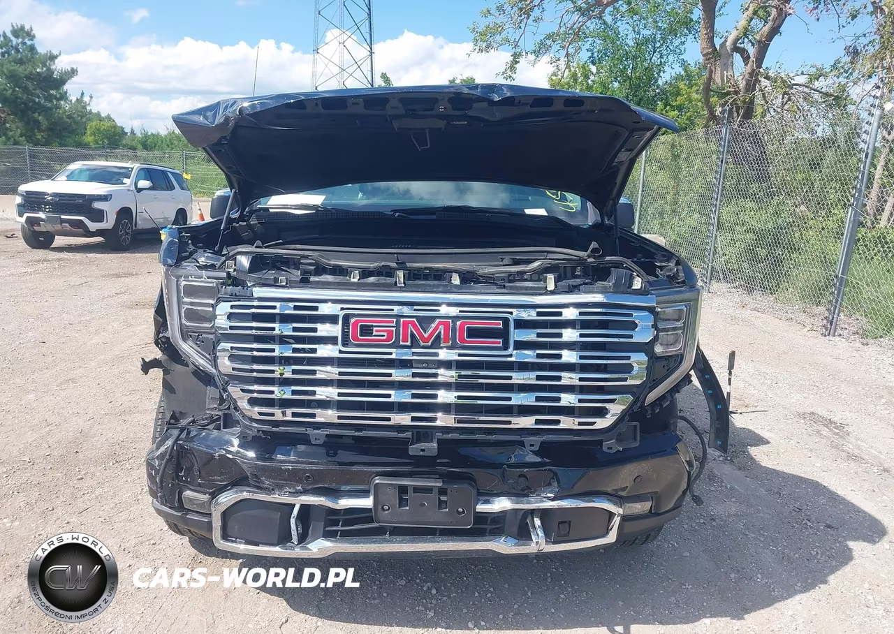 2024 GMC Sierra 1500 Denali VIN:1GTUUGE82RZ316411 - 6