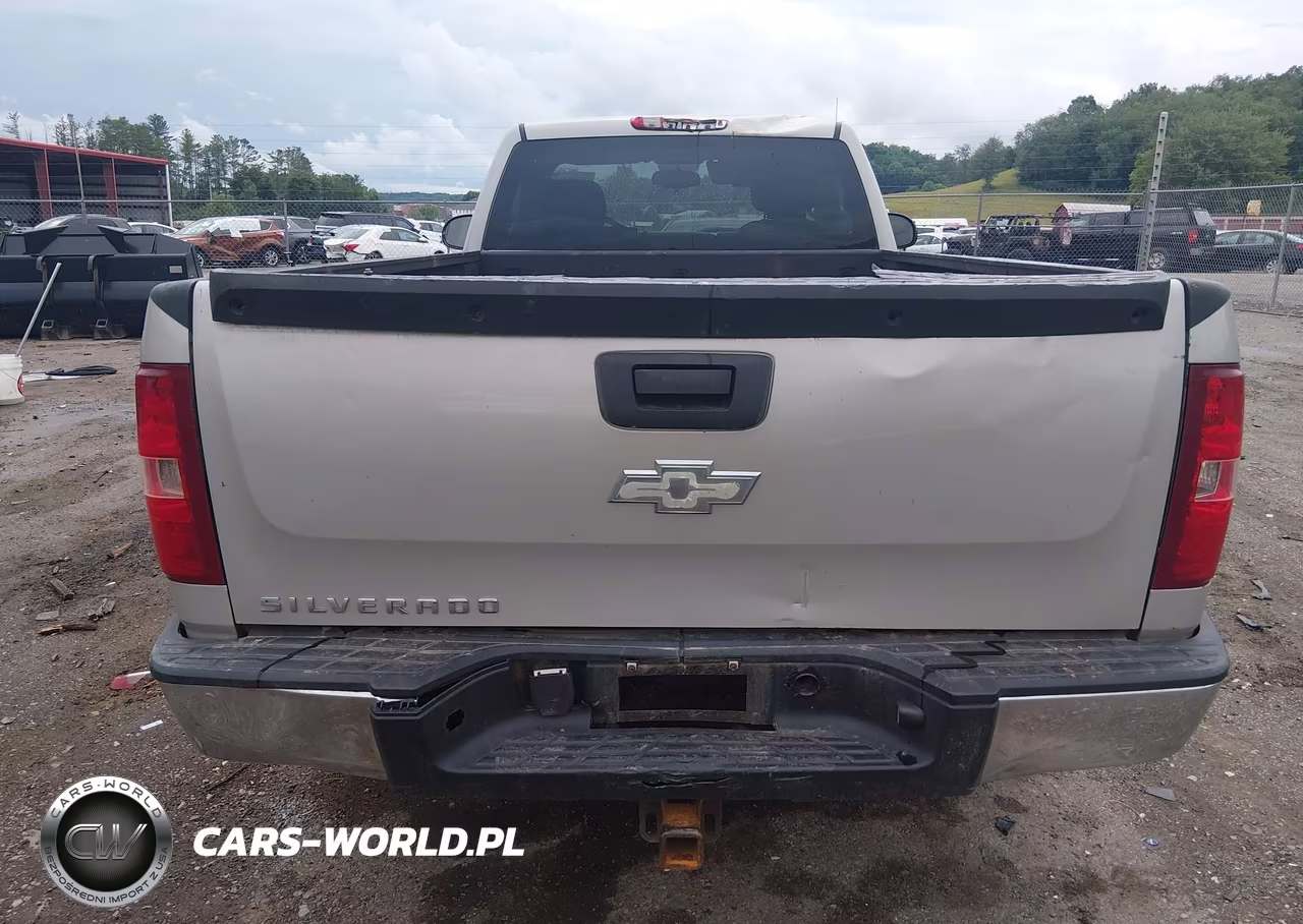 2008 Chevrolet Silverado 1500 Work Truck VIN:1GCEK14C88E116572 - 6