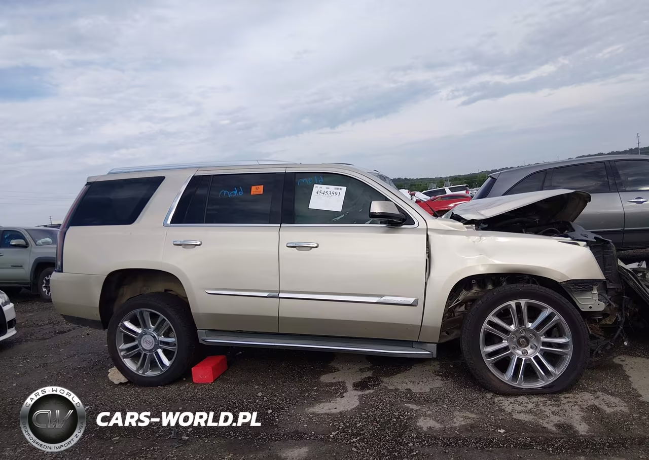 2015 Cadillac Escalade Premium VIN:1GYS4CKJ8FR294816 - 12