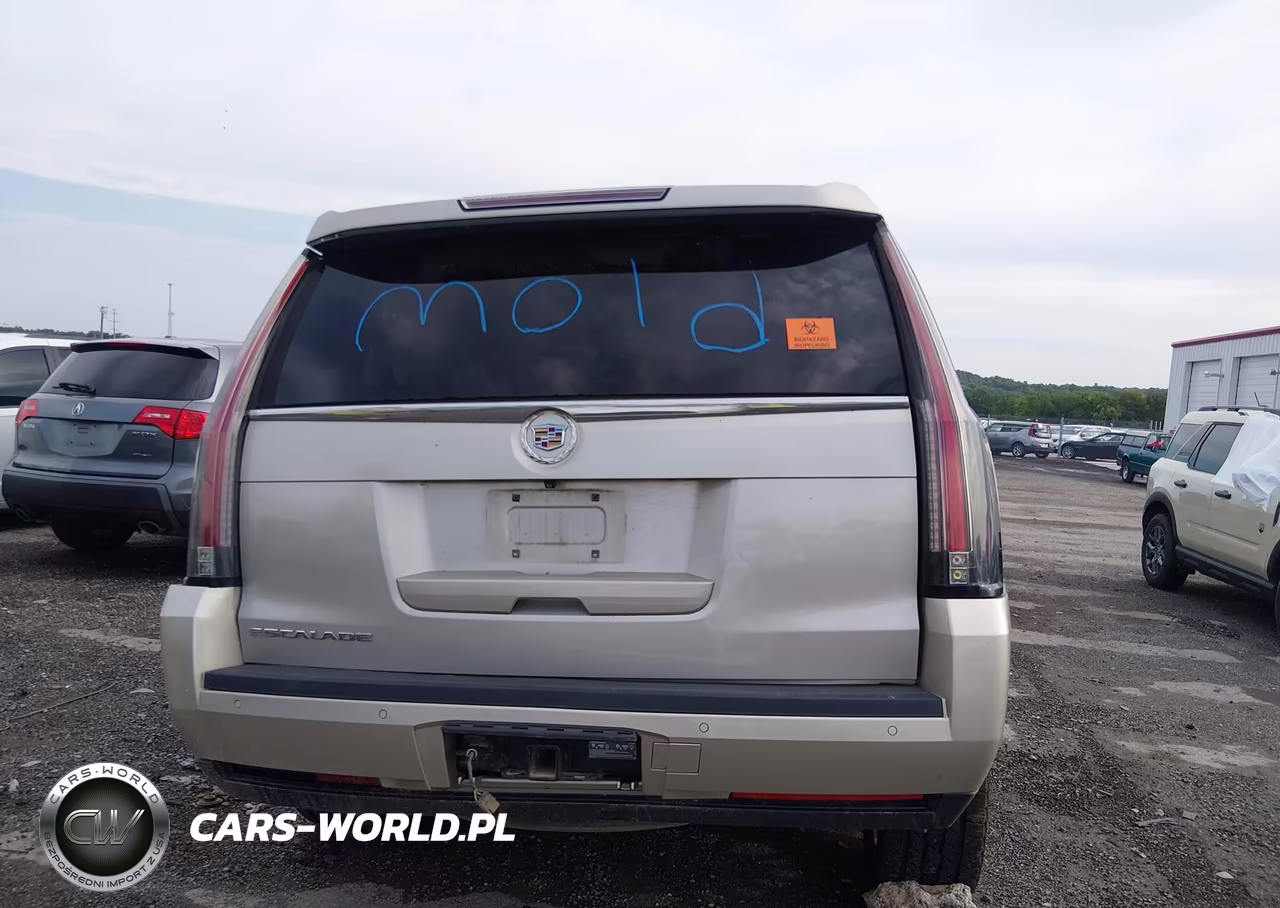 2015 Cadillac Escalade Premium VIN:1GYS4CKJ8FR294816 - 15