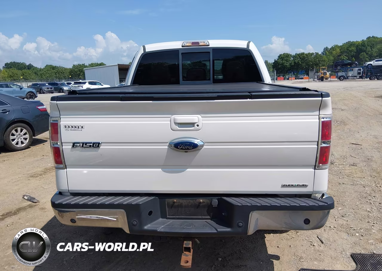 2012 Ford F-150 Fx4-King Ranch-Lariat-Platinum-Xl-Xlt VIN:1FTFW1EF7CFA09291 - 16