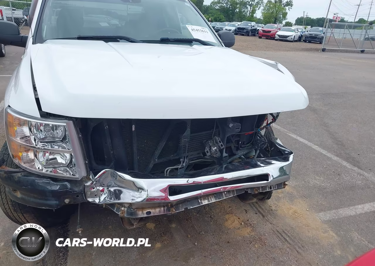 2009 Chevrolet Silverado 1500 Lt VIN:1GCEK29089Z174941 - 19