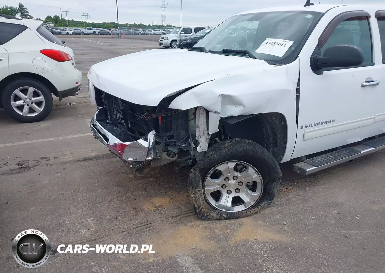 2009 Chevrolet Silverado 1500 Lt VIN:1GCEK29089Z174941 - 6