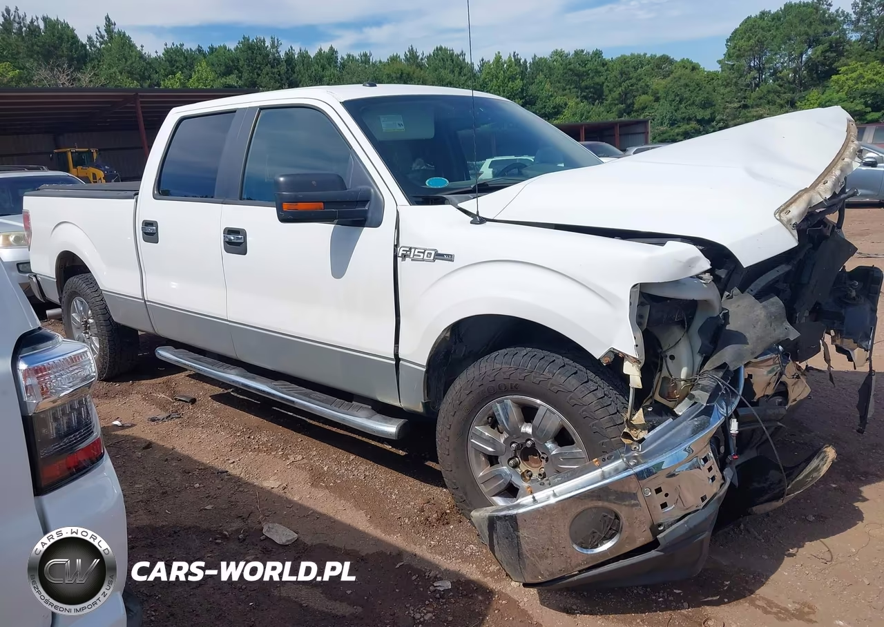 2010 Ford F-150 Xlt VIN:1FTEW1C84AFC87918 - 13