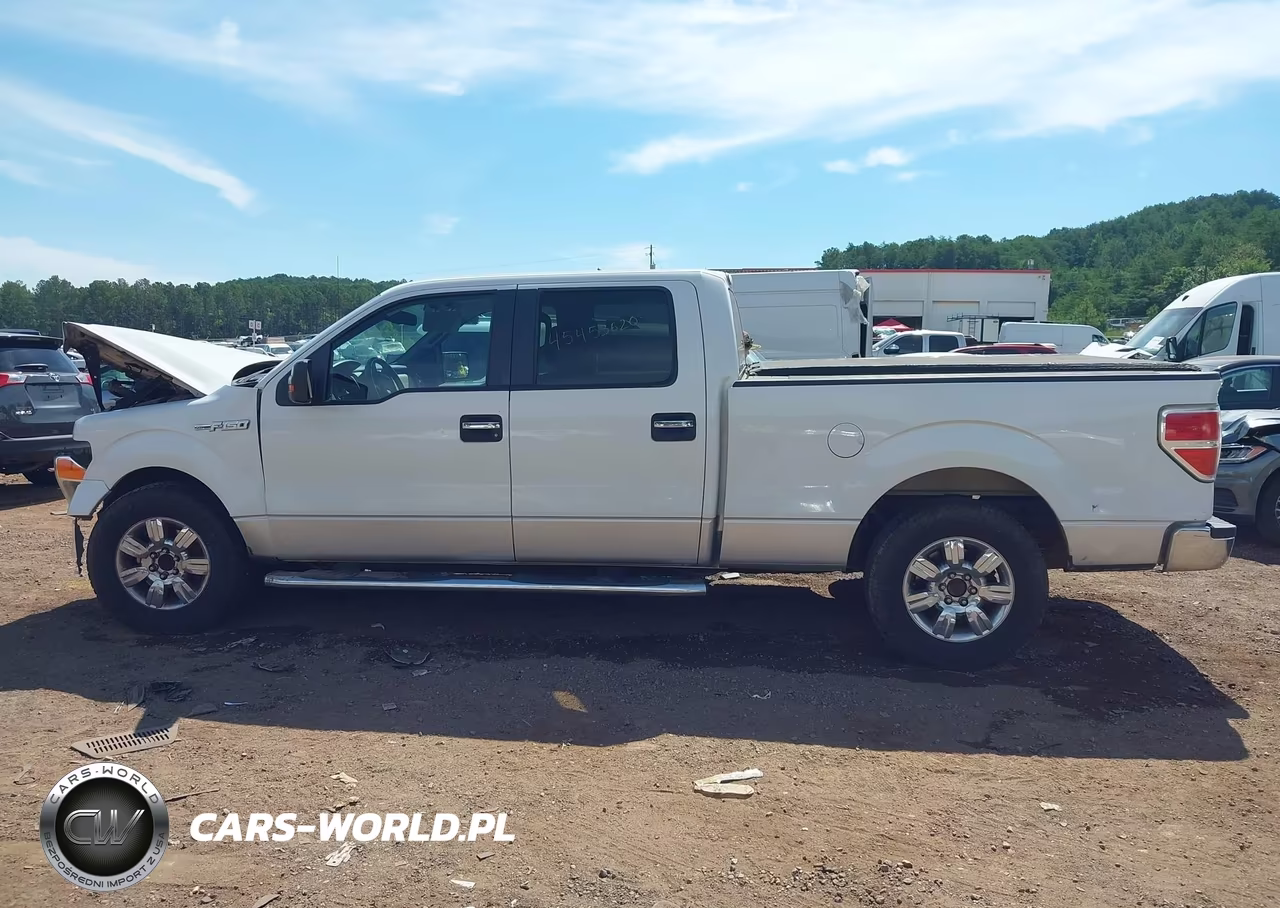 2010 Ford F-150 Xlt VIN:1FTEW1C84AFC87918 - 14