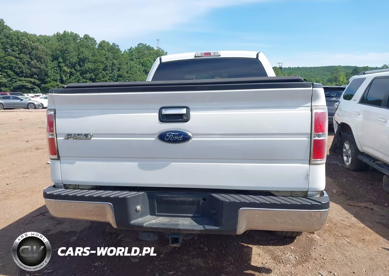 2010 Ford F-150 Xlt VIN:1FTEW1C84AFC87918 - 16