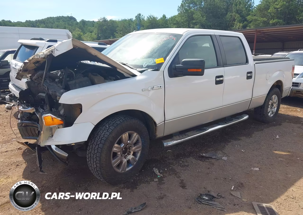2010 Ford F-150 Xlt VIN:1FTEW1C84AFC87918 - 2