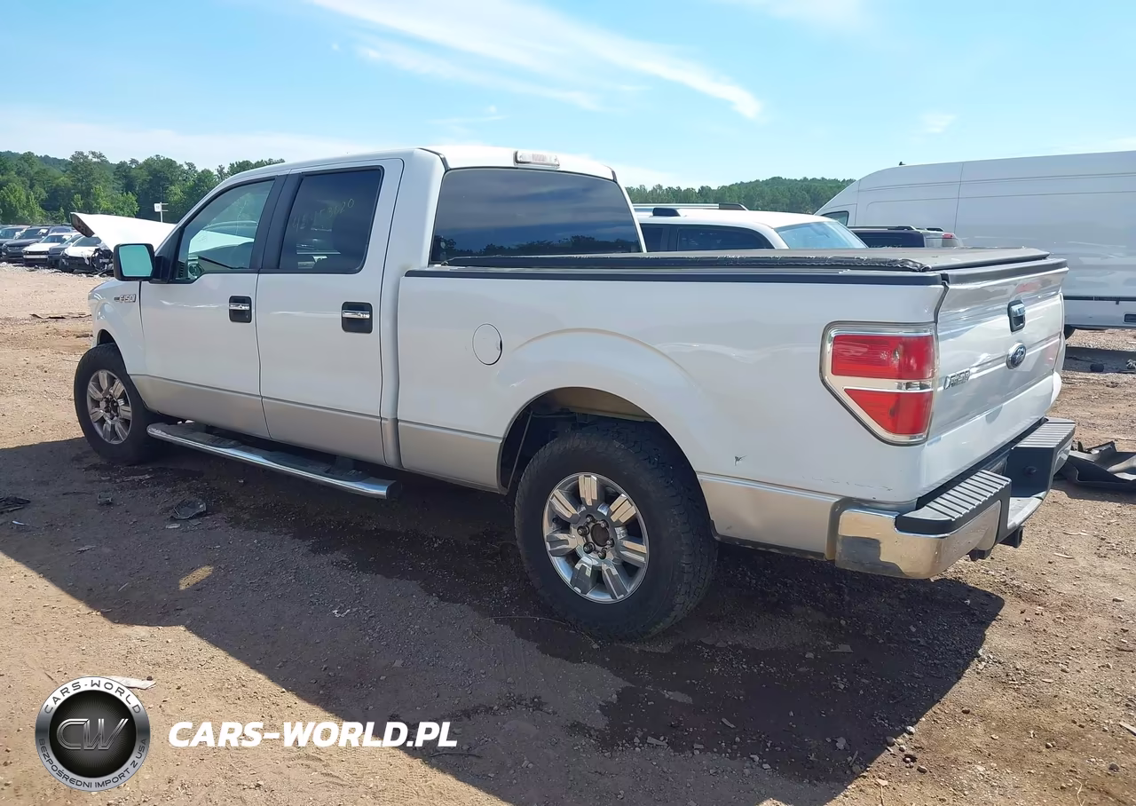 2010 Ford F-150 Xlt VIN:1FTEW1C84AFC87918 - 3