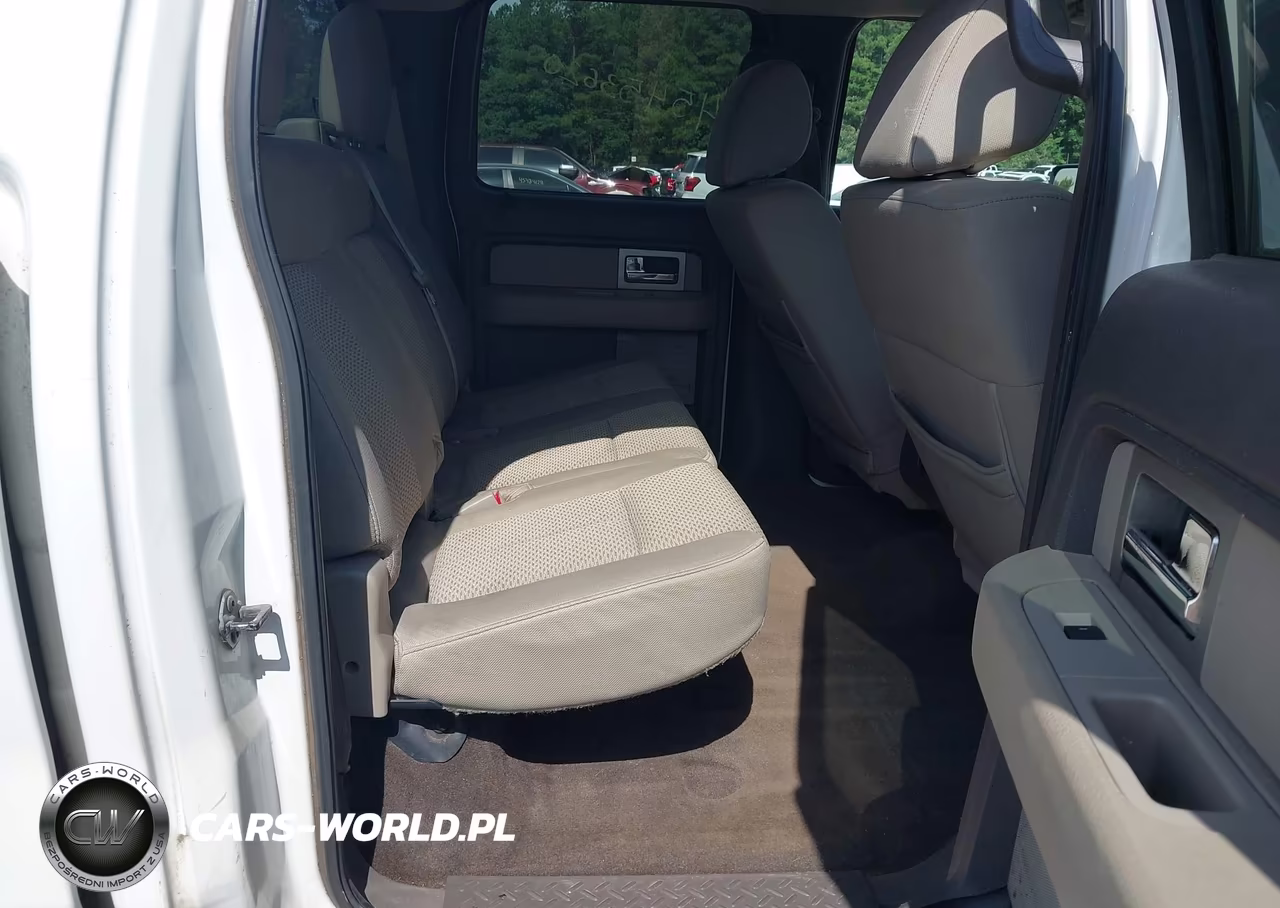 2010 Ford F-150 Xlt VIN:1FTEW1C84AFC87918 - 8