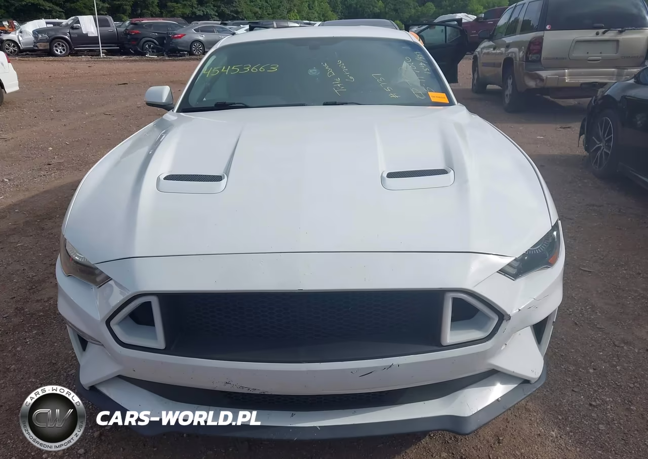 2018 Ford Mustang Ecoboost VIN:1FA6P8TH2J5106384 - 11