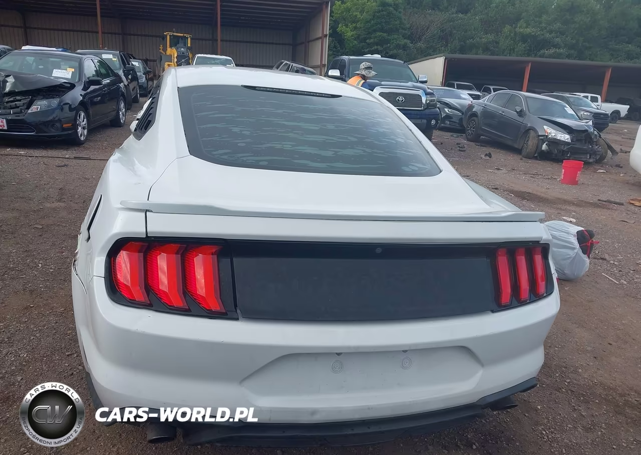 2018 Ford Mustang Ecoboost VIN:1FA6P8TH2J5106384 - 15
