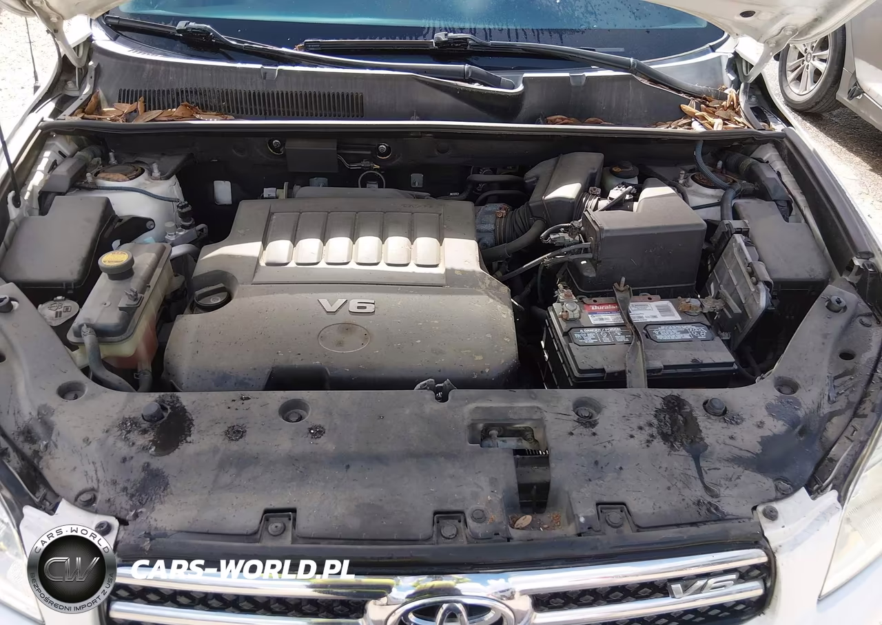 2006 Toyota Rav4 Limited V6 VIN:JTMZK31V565001315 - 10