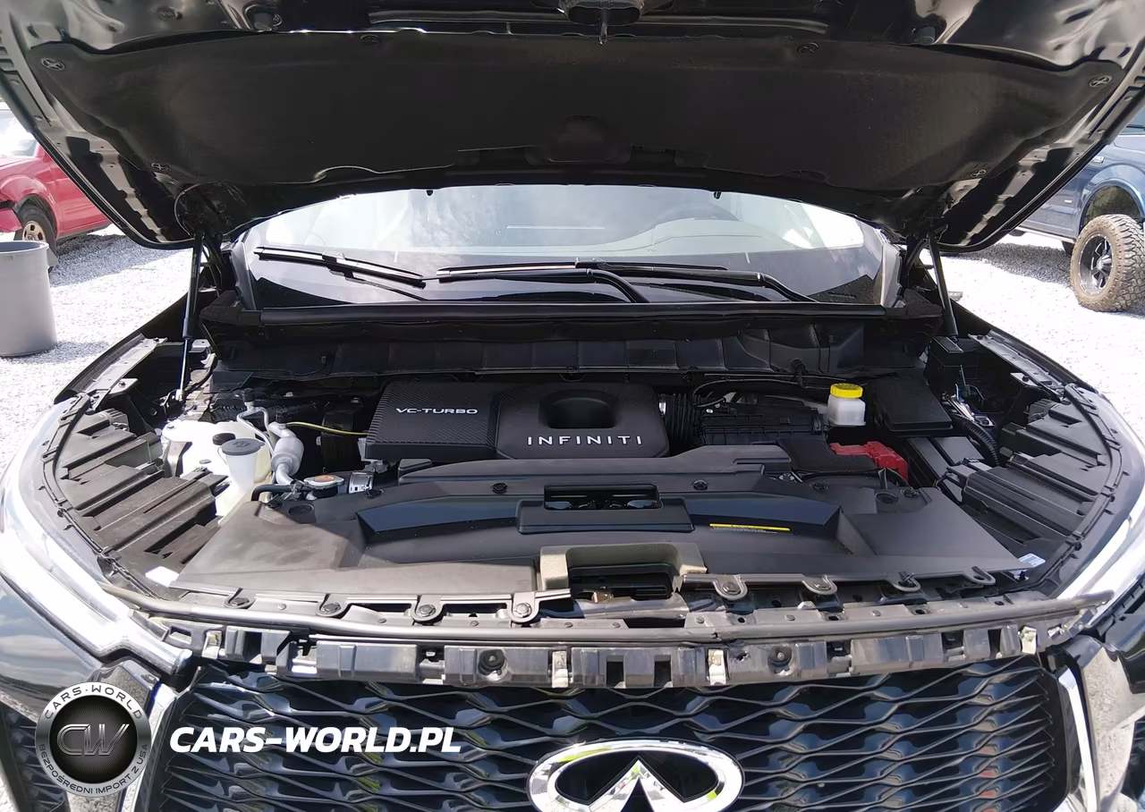 2025 Infiniti Qx60 Pure VIN:5N1AL1ER4SC351984 - 10