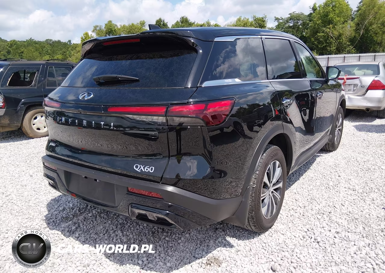 2025 Infiniti Qx60 Pure VIN:5N1AL1ER4SC351984 - 4