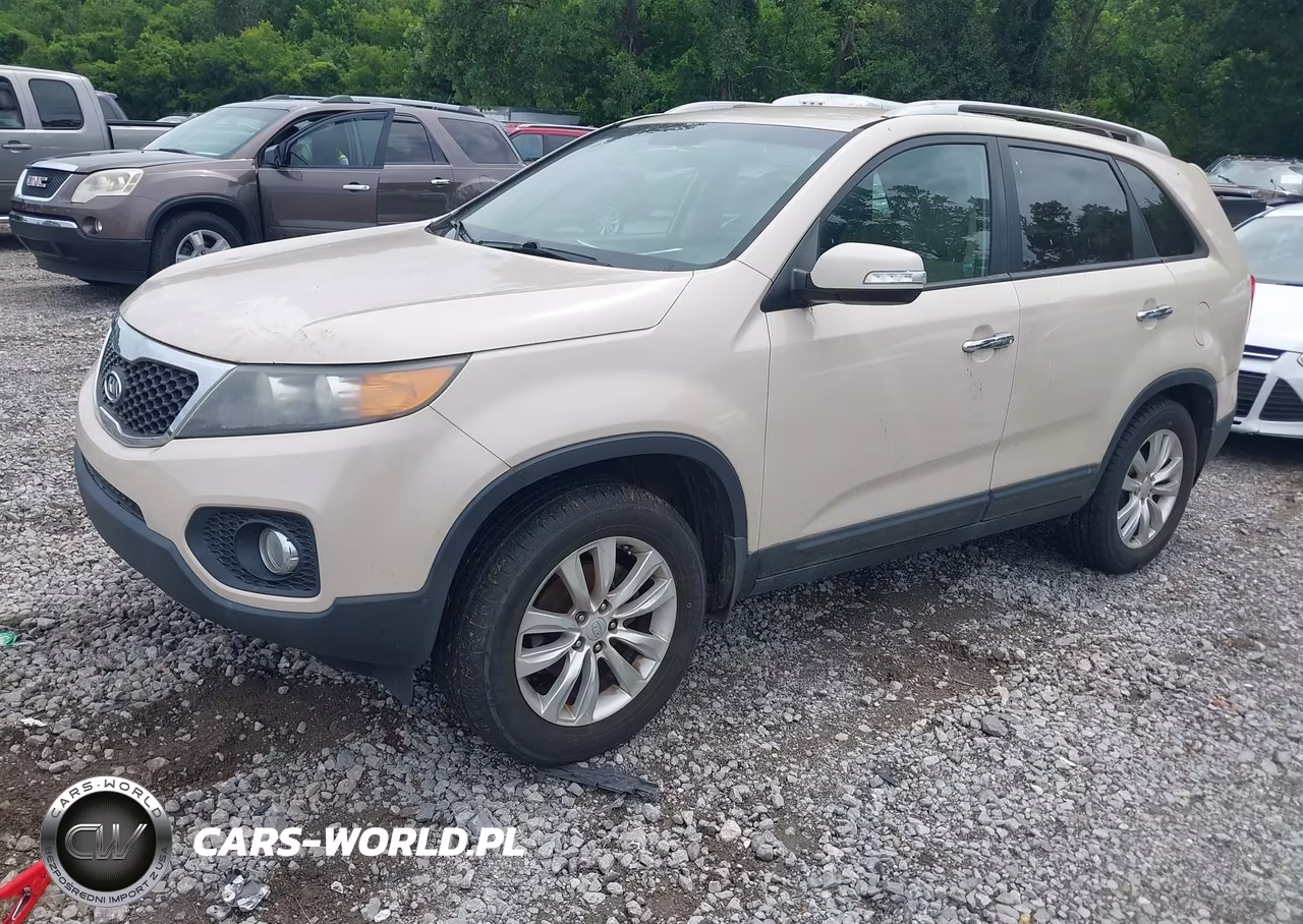 2011 Kia Sorento Ex V6 VIN:5XYKU4A20BG151177 - 2