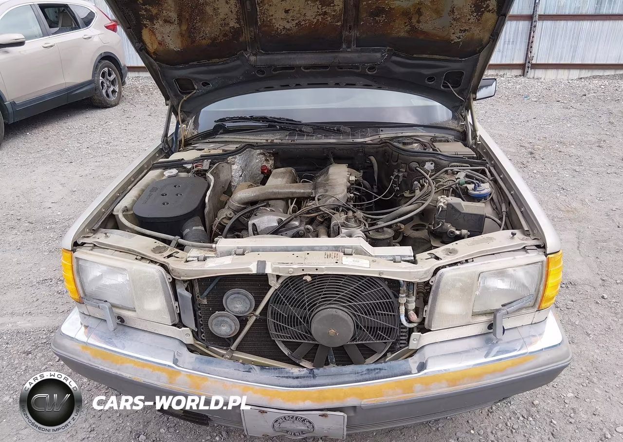 1986 Mercedes-Benz 300 Sdl VIN:WDBCB25D7GA238476 - 10