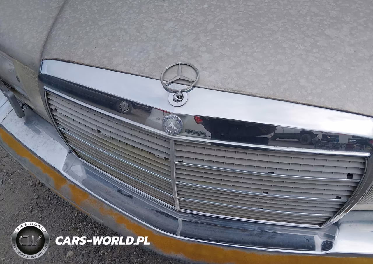 1986 Mercedes-Benz 300 Sdl VIN:WDBCB25D7GA238476 - 6
