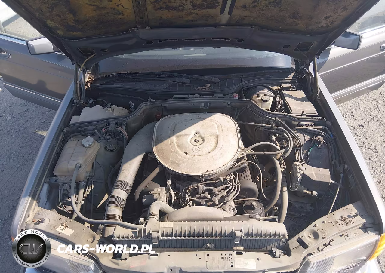 1986 Mercedes-Benz 420 Sel VIN:WDBCA35D5GA275616 - 10