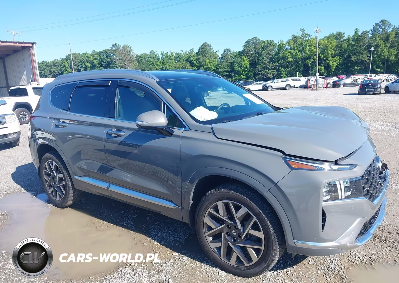 2022 Hyundai Santa Fe Calligraphy VIN:5NMS5DAL3NH461095 - 13