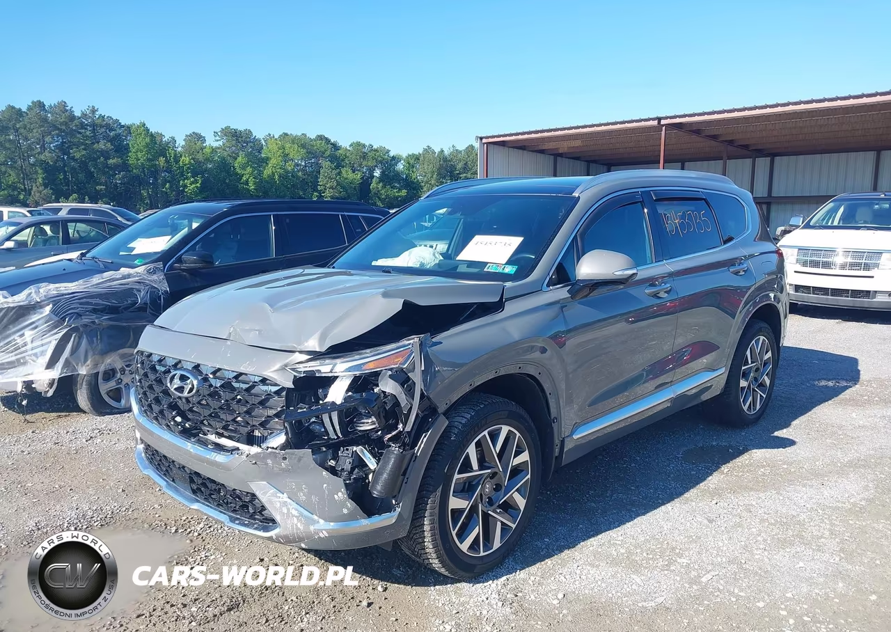 2022 Hyundai Santa Fe Calligraphy VIN:5NMS5DAL3NH461095 - 2