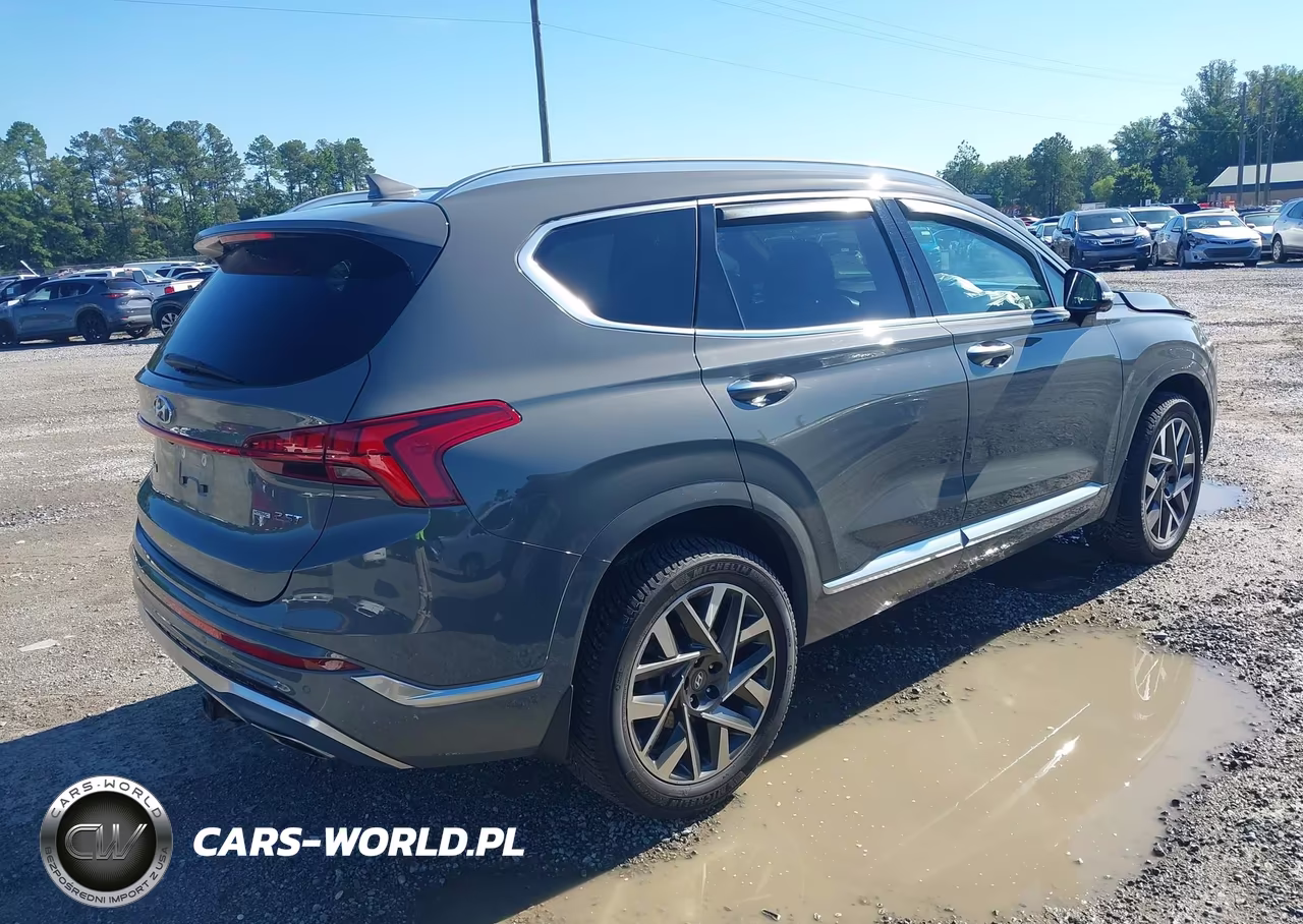 2022 Hyundai Santa Fe Calligraphy VIN:5NMS5DAL3NH461095 - 4