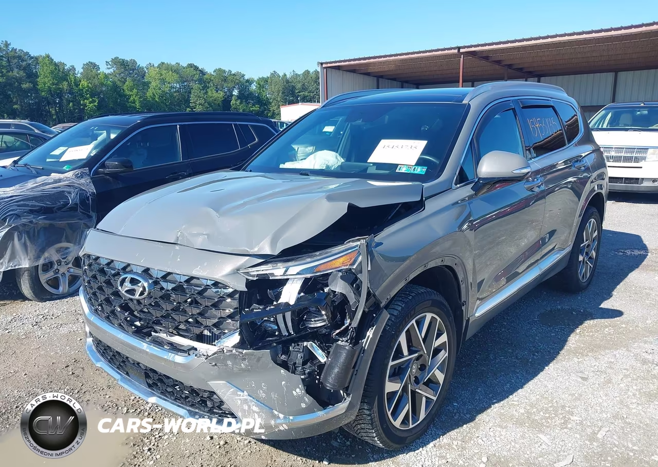 2022 Hyundai Santa Fe Calligraphy VIN:5NMS5DAL3NH461095 - 6