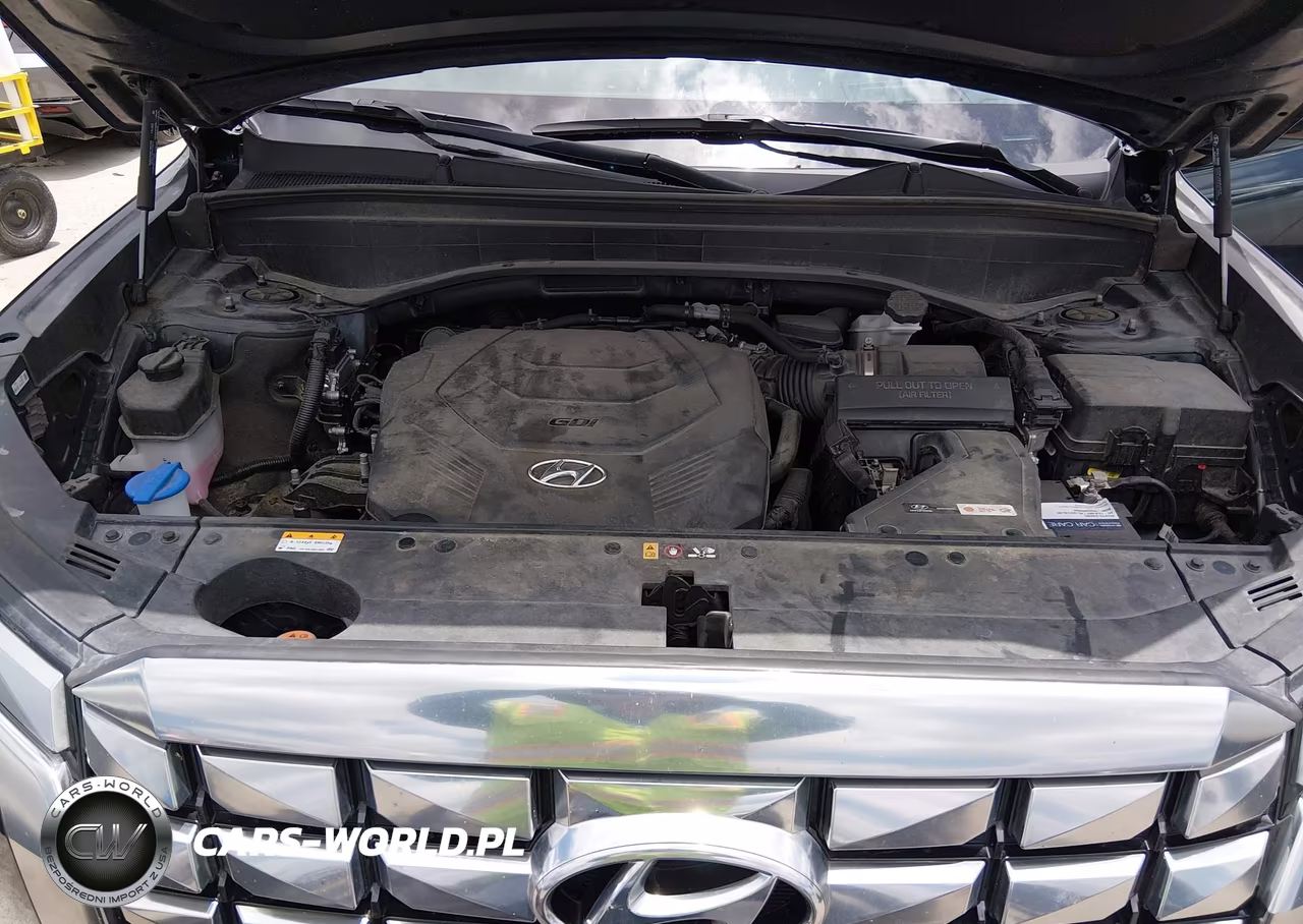 2024 Hyundai Palisade Calligraphy VIN:KM8R7DGE6RU648634 - 10